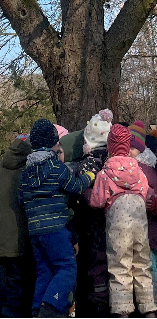 Umarmung der Kastanie