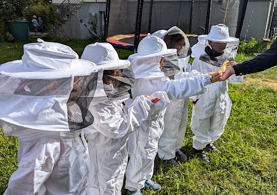 Geschützt wie die echten Imker