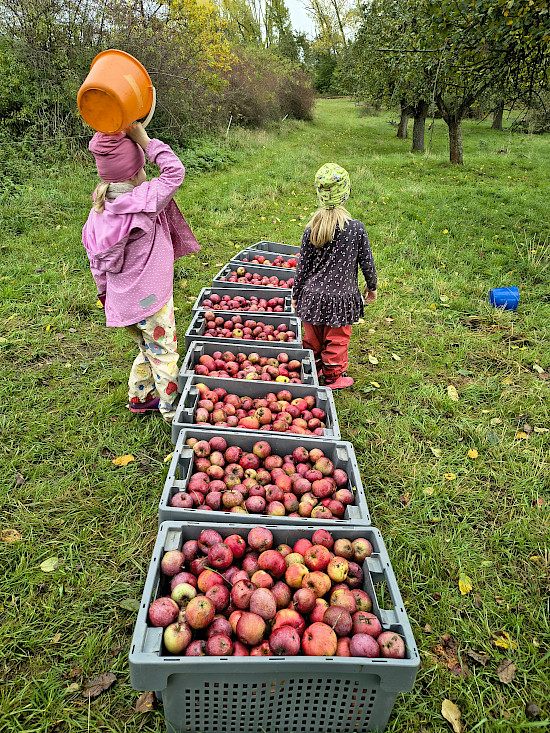 Hier wurde schon fleißig gesammelt