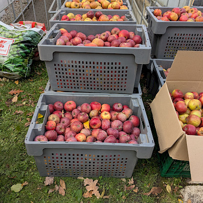 Wie aus Äpfeln Apfelsaft wird...