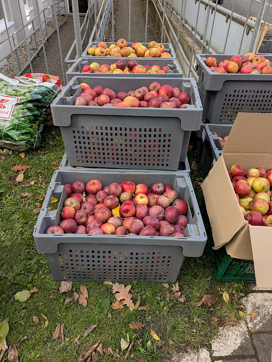 Es sind 700kg Äpfel zusammengekommen!